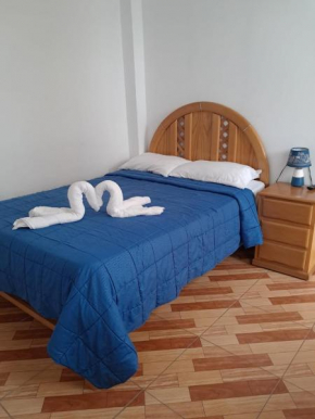 Starfish of Paracas